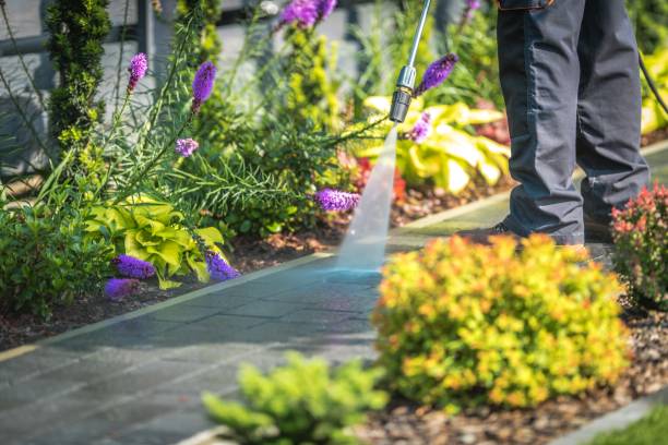 Reliable Penitas, TX Pressure Washing Services Solutions
